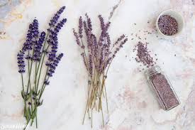 Steampunk Sourdough with Lavender: Where Tradition Meets Fancy